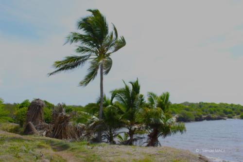 Pointe du Vauclin - Martinique - Mai 2023