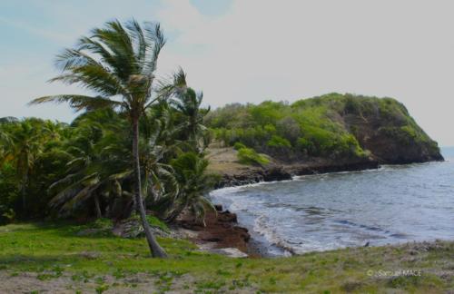 Pointe du Vauclin - Martinique - Mai 2023