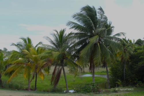 Pointe du Vauclin - Martinique - Mai 2023