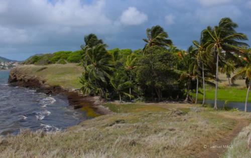 Pointe du Vauclin - Martinique - Mai 2023