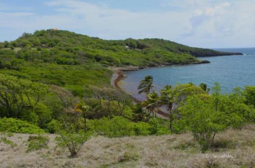 Pointe du Vauclin - Martinique - Mai 2023