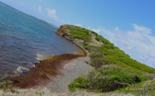 Pointe du Vauclin - Martinique - Mai 2023