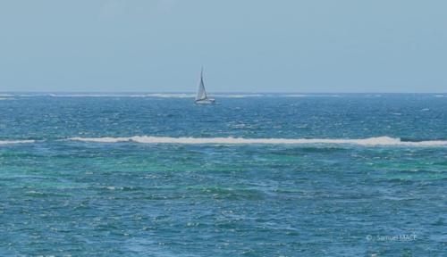 Pointe du Vauclin - Martinique - Mai 2023