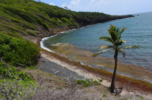 Pointe du Vauclin - Martinique - Mai 2023