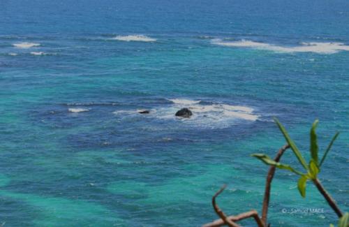 Pointe du Vauclin - Martinique - Mai 2023