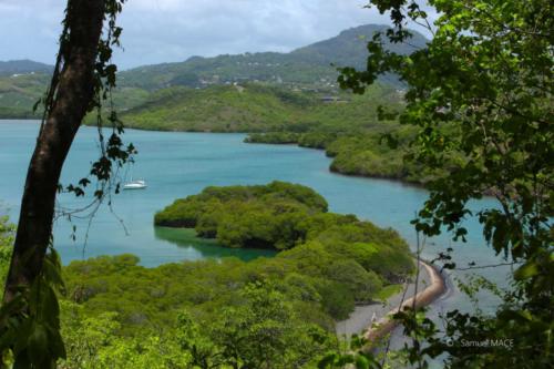 Pointe du Vauclin - Martinique - Mai 2023