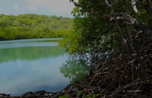 Pointe du Vauclin - Martinique - Mai 2023