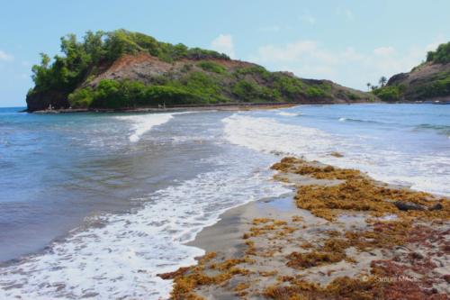 Grand Rivière - Martinique - Mai 2023