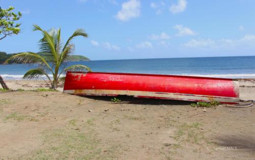 Grand Rivière - Martinique - Mai 2023