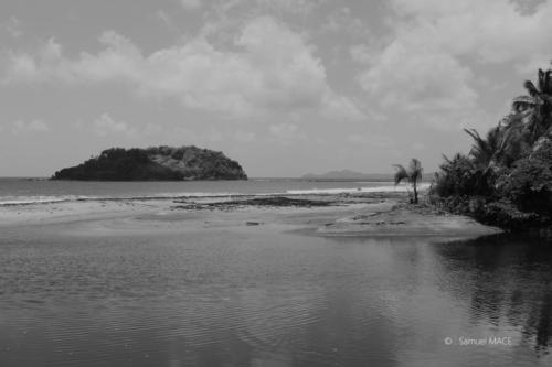 Grand Rivière - Martinique - Mai 2023