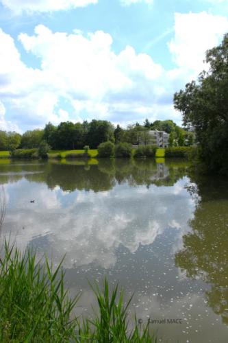 Lac de Lognes - Seine et Marne (77) - Mai 2024