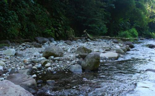 Grand Rivière - Martinique - Mai 2023