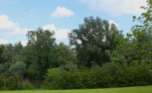 Lac de Lognes - Seine et Marne (77) - Mai 2024