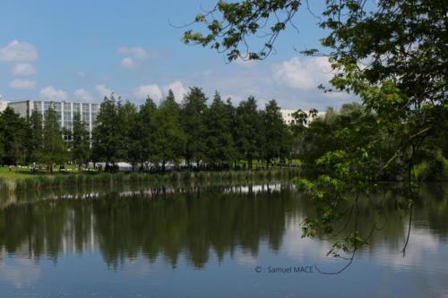 Lac de Lognes - Seine et Marne (77) - Mai 2024