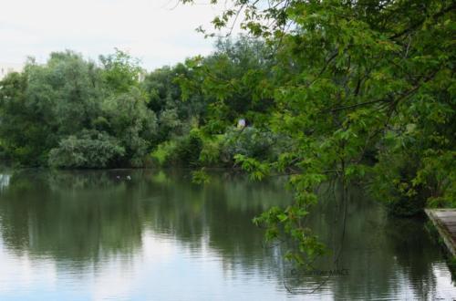 Lac de Lognes - Seine et Marne (77) - Mai 2024