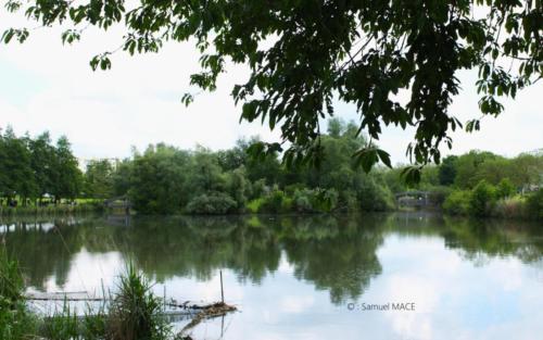 Lac de Lognes - Seine et Marne (77) - Mai 2024