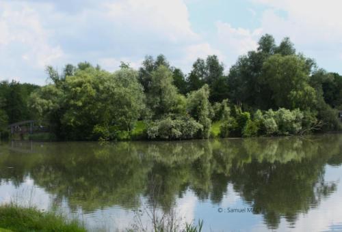 Lac de Lognes - Seine et Marne (77) - Mai 2024
