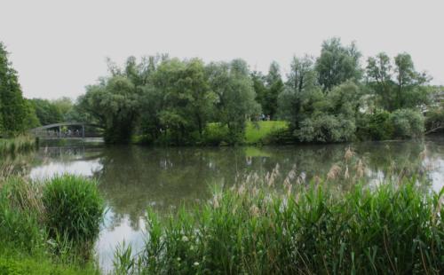 Lac de Lognes - Seine et Marne (77) - Mai 2024