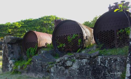 Grand Rivière - Martinique - Mai 2023