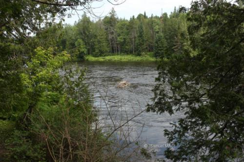 Du Parc des Cascades à Joliette - Canada - Juillet 2025