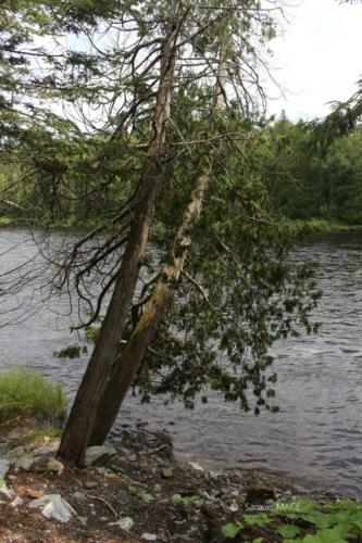Du Parc des Cascades à Joliette - Canada - Juillet 2025