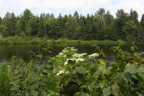 Du Parc des Cascades à Joliette - Canada - Juillet 2025