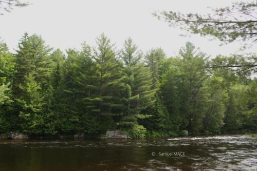 Du Parc des Cascades à Joliette - Canada - Juillet 2025