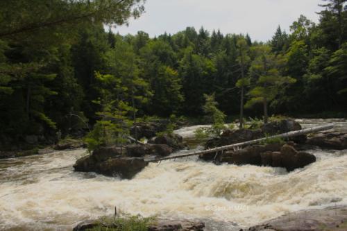 Du Parc des Cascades à Joliette - Canada - Juillet 2025