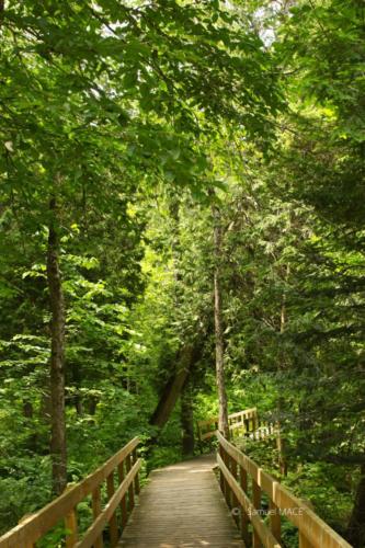 Du Parc des Cascades à Joliette - Canada - Juillet 2025