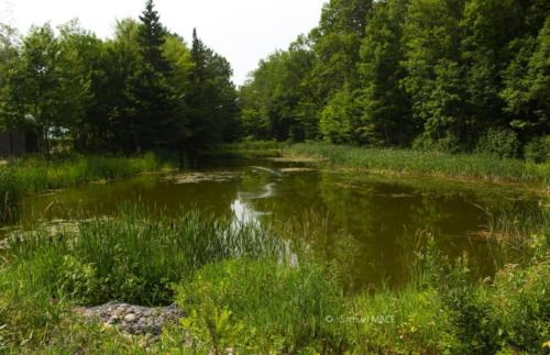 Du Parc des Cascades à Joliette - Canada - Juillet 2025