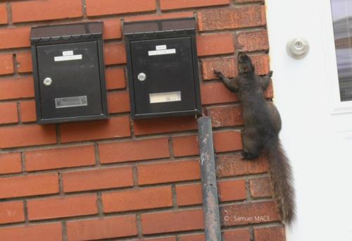 De Trois Rivières vers La Mauricie - Canada - Juillet 2025