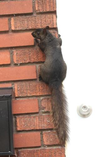 De Trois Rivières vers La Mauricie - Canada - Juillet 2025