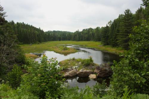 De Trois Rivières vers La Mauricie - Canada - Juillet 2025