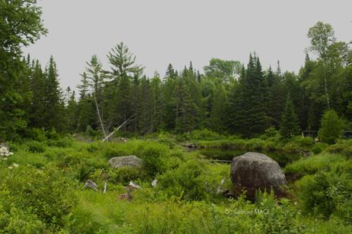 De Trois Rivières vers La Mauricie - Canada - Juillet 2025
