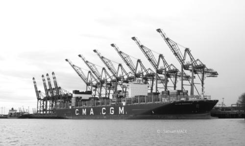 Du port au quartier St Paul - Hambourg - Décembre 2023