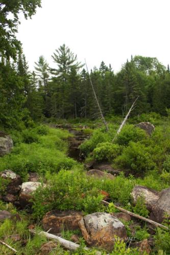 De Trois Rivières vers La Mauricie - Canada - Juillet 2025