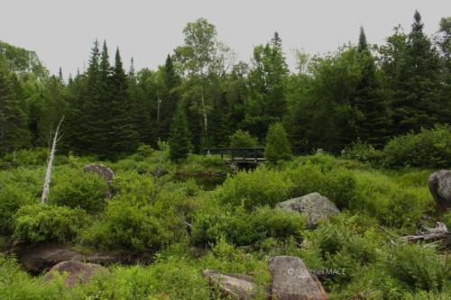 De Trois Rivières vers La Mauricie - Canada - Juillet 2025