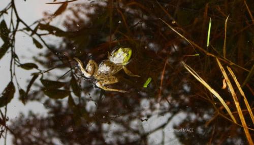 De Trois Rivières vers La Mauricie - Canada - Juillet 2025