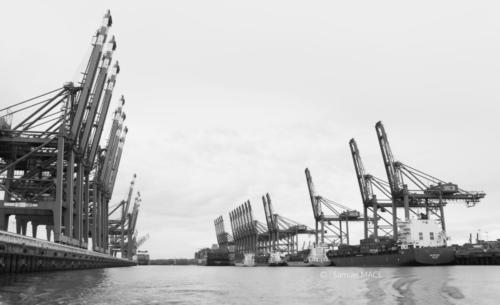 Du port au quartier St Paul - Hambourg - Décembre 2023