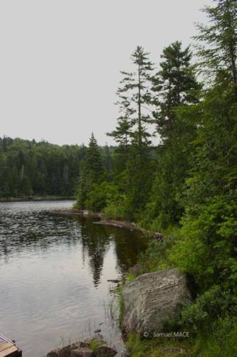 De Trois Rivières vers La Mauricie - Canada - Juillet 2025