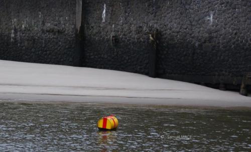 Du port au quartier St Paul - Hambourg - Décembre 2023