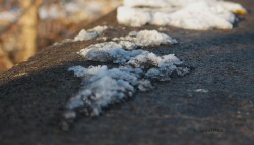 De Bir Hakeim au Petit Palais - Paris - Janvier 2026