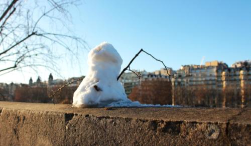 De Bir Hakeim au Petit Palais - Paris - Janvier 2026