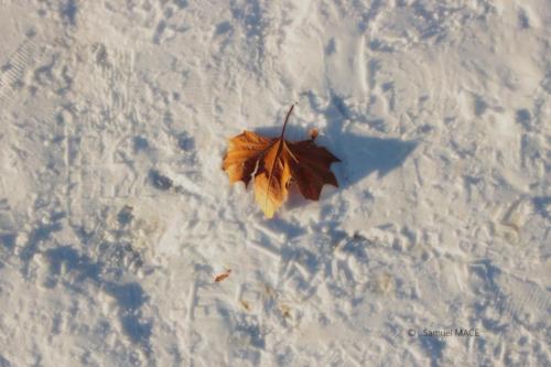De Bir Hakeim au Petit Palais - Paris - Janvier 2026
