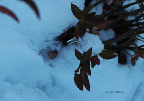 De Bir Hakeim au Petit Palais - Paris - Janvier 2026