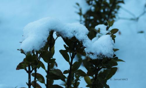 De Bir Hakeim au Petit Palais - Paris - Janvier 2026