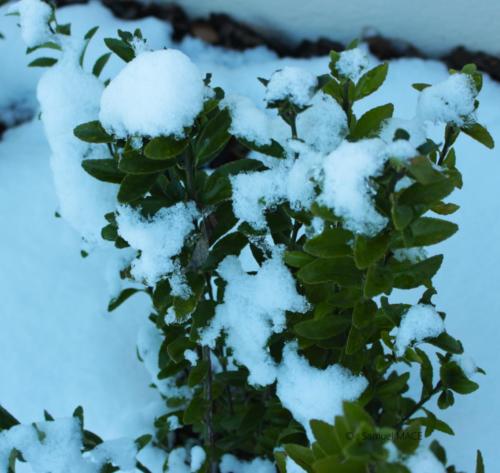 De Bir Hakeim au Petit Palais - Paris - Janvier 2026