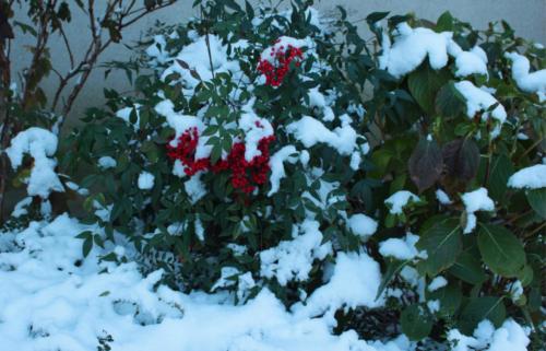 De Bir Hakeim au Petit Palais - Paris - Janvier 2026
