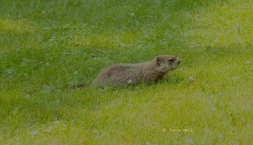 De Val Jalbert à Mashteulatsh - Canada - Juillet 2025
