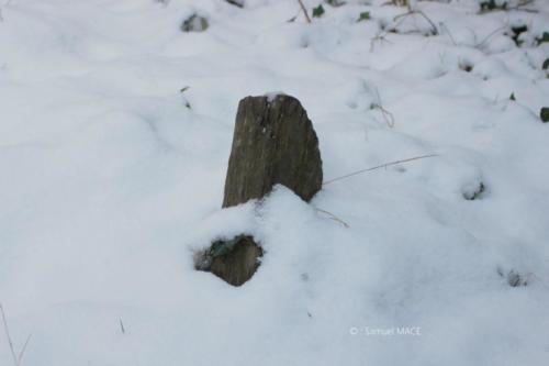 Journée de neige - Livry Gargan (93) - Janvier 2026